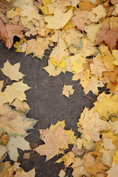 Similar image 22208242