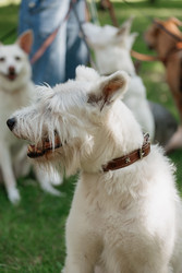 Similar image 22208243