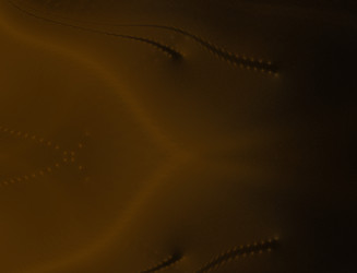 Similar image 22198743