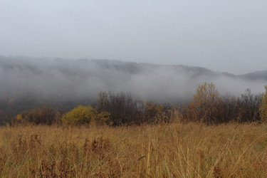 Similar image 22197407