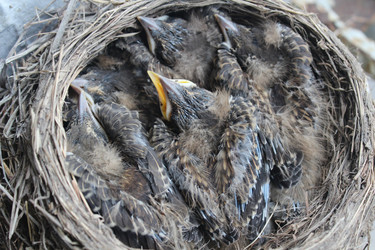 Similar image 22197412