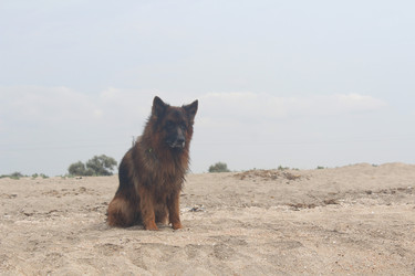 Similar image 22197413