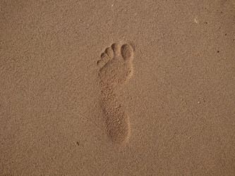 Similar image 22197415