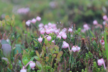 Similar image 22197418