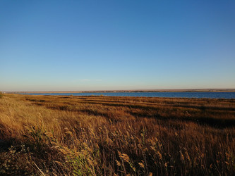 Similar image 22197419