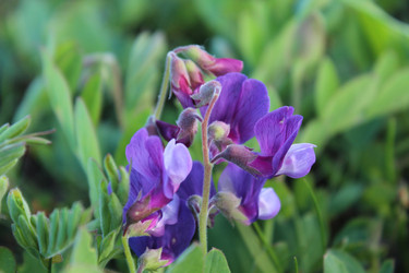 Similar image 22197421