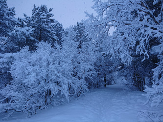 Similar image 22197425