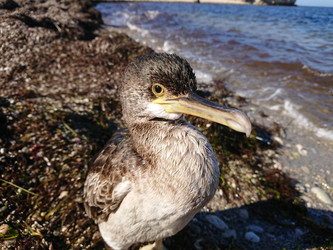 Similar image 22197426