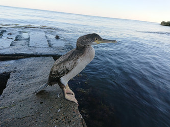 Similar image 22198077