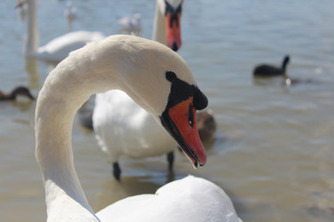 Similar image 22197429