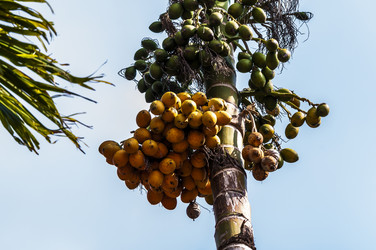 Similar image 22198147