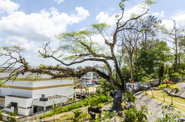 Similar image 22198151