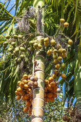 Similar image 22198154