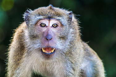 Similar image 22198160