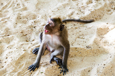 Similar image 22198161