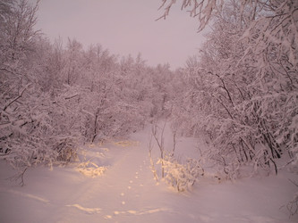 Similar image 22198406