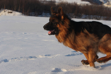 Similar image 22197434