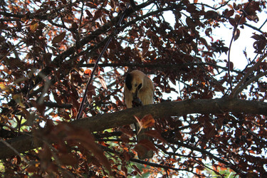 Similar image 22197435