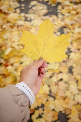 Similar image 22205459