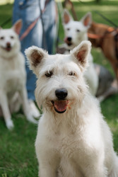 Similar image 22205460