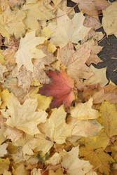 Similar image 22205461