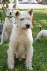 Similar image 22205462