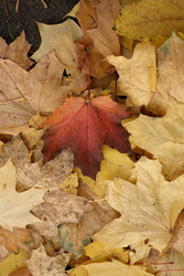 Similar image 22205463