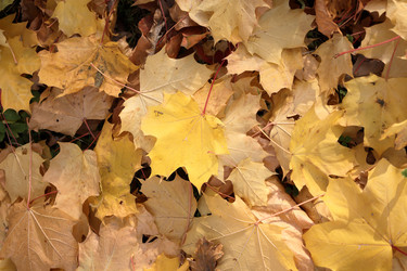 Similar image 22207731