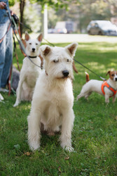 Similar image 22207732