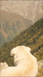 Similar image 22207733