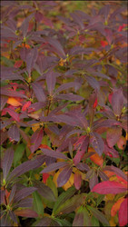 Similar image 22207735