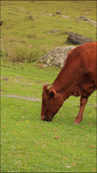 Similar image 22207736