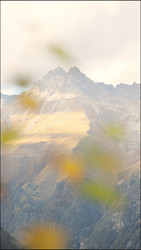 Similar image 22207737