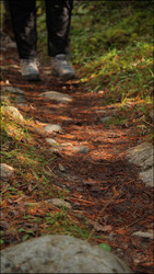 Similar image 22207738