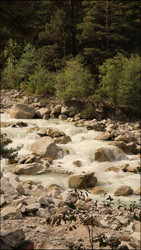 Similar image 22207739