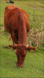 Similar image 22207743