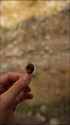 Similar image 22207744