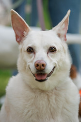 Similar image 22207745