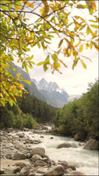 Similar image 22207747