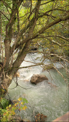 Similar image 22207748