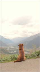 Similar image 22207752