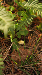 Similar image 22207754