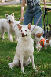 Similar image 22207756