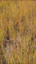 Similar image 22207759