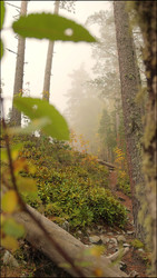 Similar image 22207761