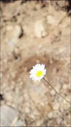 Similar image 22207762