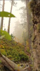 Similar image 22207763