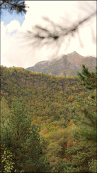 Similar image 22207767