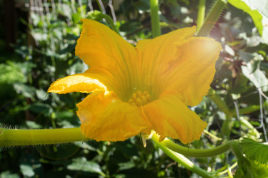 Similar image 22198167