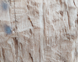 Similar image 22198168